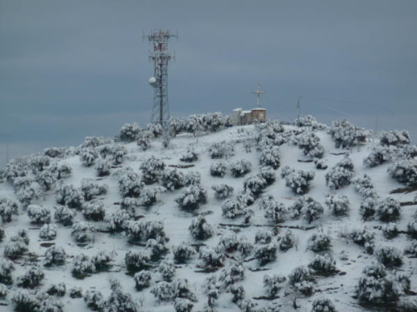 Foto di Giuseppe PISANO - ROSSANO (CS)